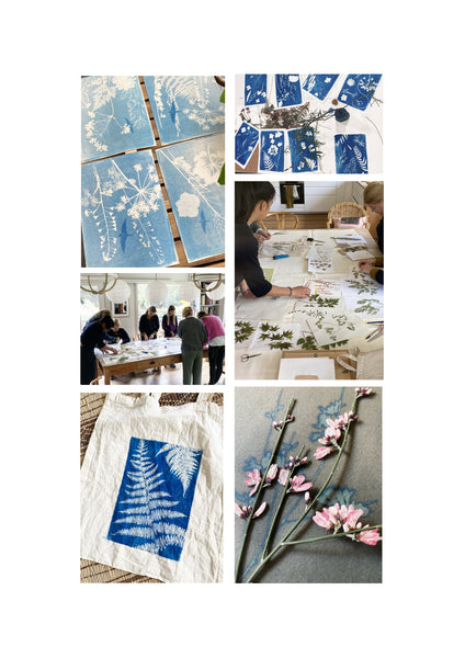 Ateliers et stage cyanotype