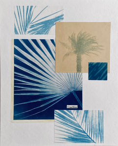 "L’eau bleue" composition photos cyanotype originale