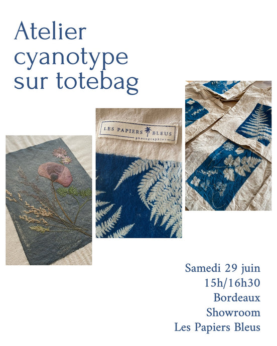 Atelier cyanotype à Bordeaux le 29 juin de 15h à 16h30