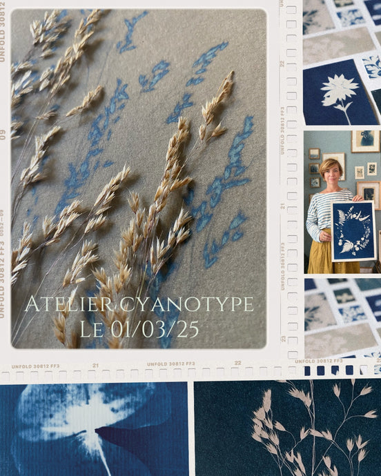 Atelier cyanotype - le 1er mars de 15h à 17h