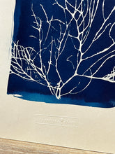 Charger l'image dans la galerie, Seaweed Collection, format A5 avec gaufrage sur papier d’art