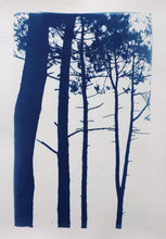 Charger l&#39;image dans la galerie, Photographie originale &quot;Carcans-Les pins&quot;
