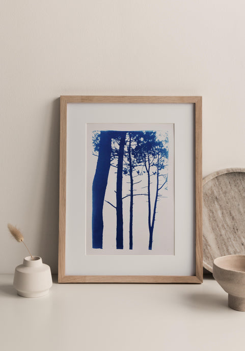 Photographie originale 