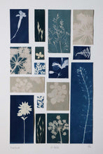 Charger l'image dans la galerie, Composition au cyanotype d'empreintes végétales 