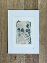 Charger l&#39;image dans la galerie, &quot;Santolines argentées&quot; tirage photo au cyanotype