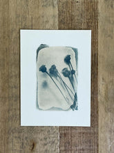 Charger l&#39;image dans la galerie, &quot;Santolines argentées&quot; tirage photo au cyanotype