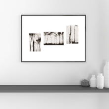 Charger l&#39;image dans la galerie, &quot;Les pins du Ferret triptyque&quot; photographie fine art 40X50cm