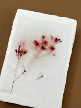 Charger l'image dans la galerie, Photographie d'art florale sur papier fine art artisanal