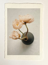 Charger l'image dans la galerie, Photographie fine art en édition limité de fleurs de pavot