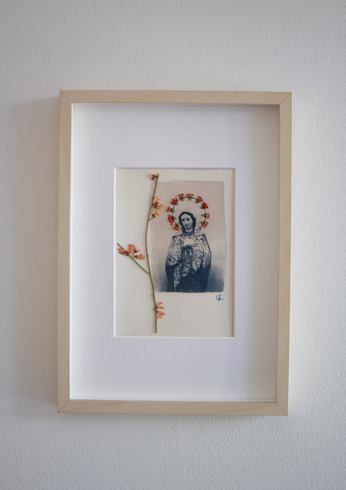 Photographie cyanotype avec fleurs séchées