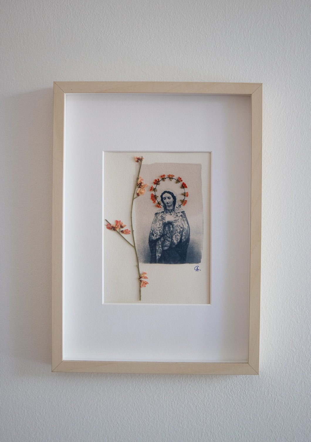 Photographie cyanotype avec fleurs séchées