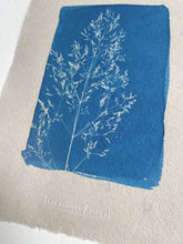 Charger l&#39;image dans la galerie, Cyanotype graminé sur papier gris artisanal