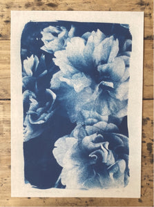Tirage numéroté de "Fleurs de printemps" format A2 sur papier fin art