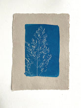 Charger l&#39;image dans la galerie, Cyanotype graminé sur papier gris artisanal