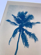 Charger l&#39;image dans la galerie, &quot;Cocotier de Guadeloupe&quot; photographie originale format A4 avec passe partout