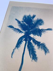 "Cocotier de Guadeloupe" photographie originale format A4 avec passe partout
