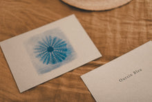 Charger l&#39;image dans la galerie, Carte &quot;Oursin bleu&quot; sur papier grisé recyclé