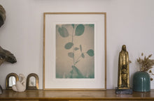 Charger l&#39;image dans la galerie, Tirage fine art de &quot;Bouquet d&#39;eucalyptus&quot; en format A3
