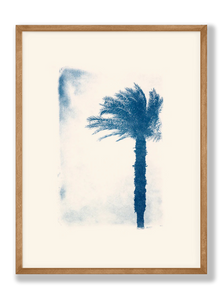 Collection Edition Salam / Les Papiers Bleus photo "Palmier d'Egypte"