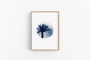 "Palmier d'Egypte sphère" tirage sur papier fine art 60X80cm
