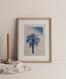 "Palmier de Menton 1" photographie originale A4
