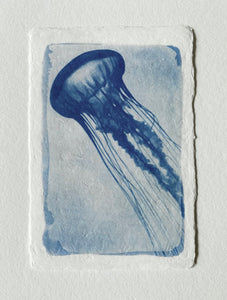 Tirage limité de "Meduse bleue" sur papier d’art Awagami
