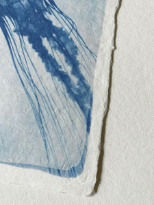 Tirage limité de "Meduse bleue" sur papier d’art Awagami