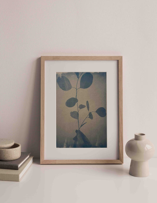 Bouquet d’Eucalyptus photo originale cyanotype