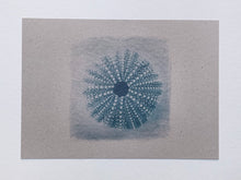 Charger l&#39;image dans la galerie, Carte &quot;Oursin bleu&quot; sur papier grisé recyclé
