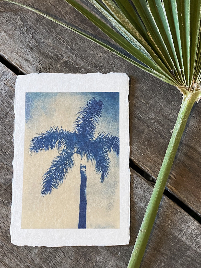 Palmier de Menton 2, tirage limité sur papier Awagami