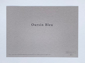 Carte "Oursin bleu" sur papier grisé recyclé