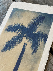 Palmier de Menton 2, tirage limité sur papier Awagami